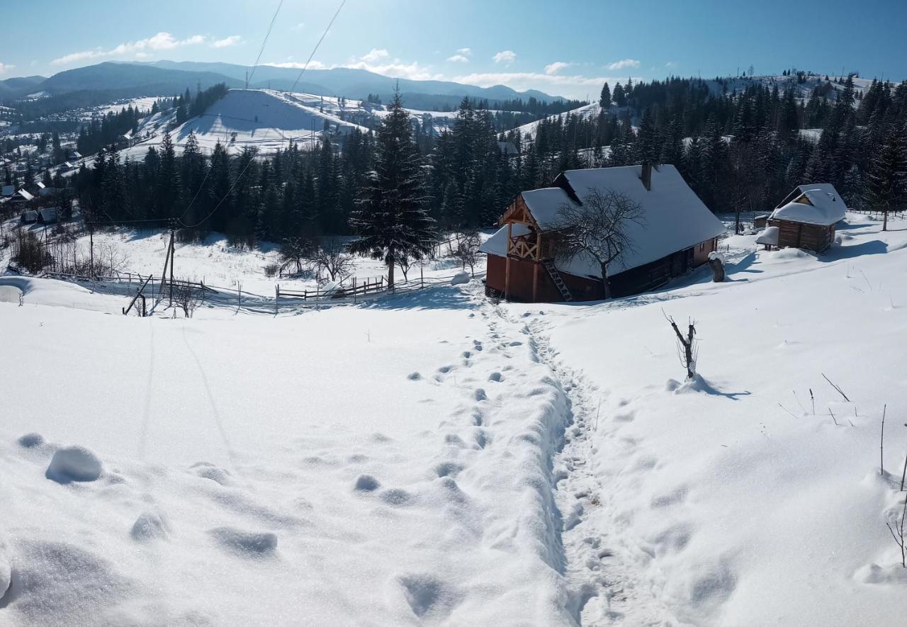 Приватна Садиба "Світлиця Гуцульщини" Vorochta Buitenkant foto